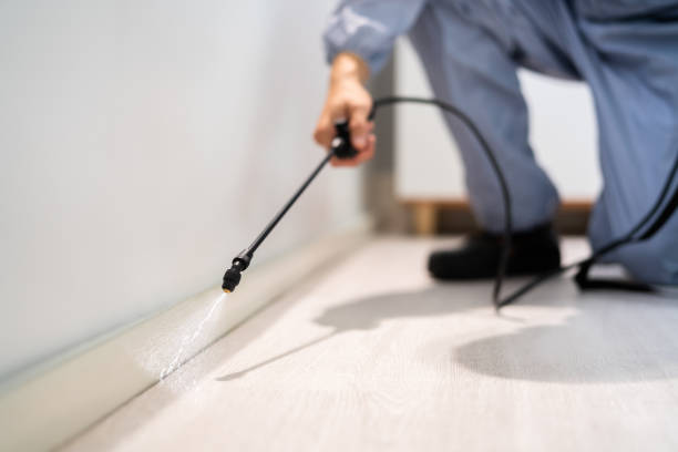 Licensed Fumigation Services service in Deer Park, IL - Nex Pest Control