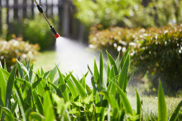 24/7 Emergency Fumigation Services experts in Deer Park, IL
