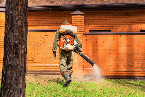 Trusted Termite Control service in Deer Park, IL - Nex Pest Control